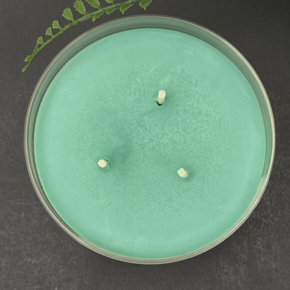 BBW Top Shelf Elf Bath & Body Works 3 Wick Candle - Picture 7 of 10